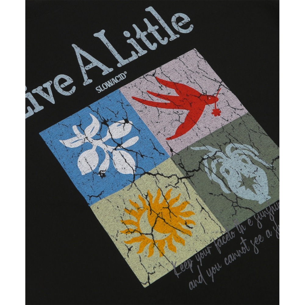 スローアシッドサマーフレーム半袖Tシャツ [ブラック]