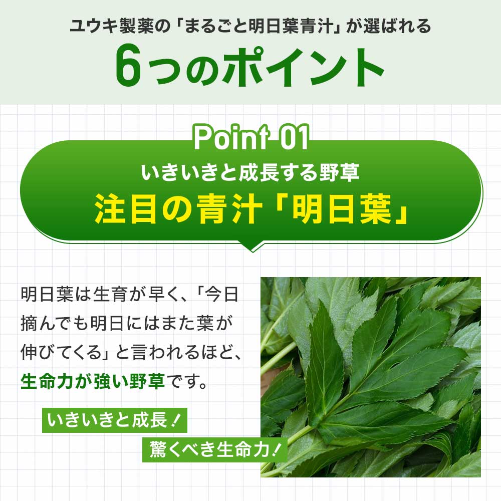遅れてごめんね 敬老の日 プレゼント 2024 ギフト 花以外 実用的 まるごと明日葉青汁 3g*30包*2個 約30-60日分 粉末 パウダー サプリメント サプリ