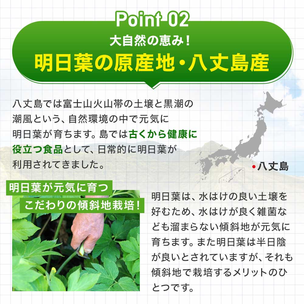 遅れてごめんね 敬老の日 プレゼント 2024 ギフト 花以外 実用的 まるごと明日葉青汁 3g*30包*2個 約30-60日分 粉末 パウダー サプリメント サプリ