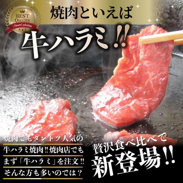 ハラミ 食べ比べ 牛肉 豚肉 焼肉 3kg 250g× 12P メガ盛り 赤身 はらみ バーベ キュー 美味しい お中元 ギフト 食品 プレゼント 女性 男 性 お祝い ハラミ 食べ比べ 牛肉 豚肉 焼肉 3kg 250g× 12P メガ盛り 赤身 はらみ バーベ キュー 美味しい お中元 ギフト 食品 プレゼント 女性 男 性 お祝い