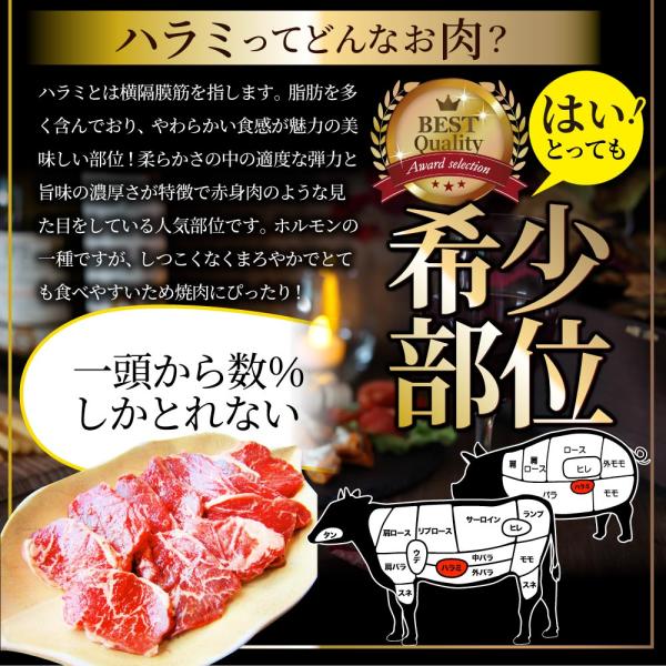 ハラミ 食べ比べ 牛肉 豚肉 焼肉 3kg 250g× 12P メガ盛り 赤身 はらみ バーベ キュー 美味しい お中元 ギフト 食品 プレゼント 女性 男 性 お祝い ハラミ 食べ比べ 牛肉 豚肉 焼肉 3kg 250g× 12P メガ盛り 赤身 はらみ バーベ キュー 美味しい お中元 ギフト 食品 プレゼント 女性 男 性 お祝い