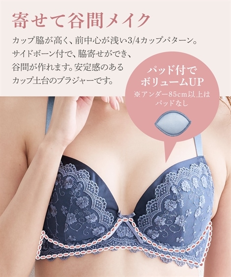 D'sense ブラジャー OD241 B80 赤 水色 2色セット B80 大きいサイズ ブラショーツセット 通販【ニッセン