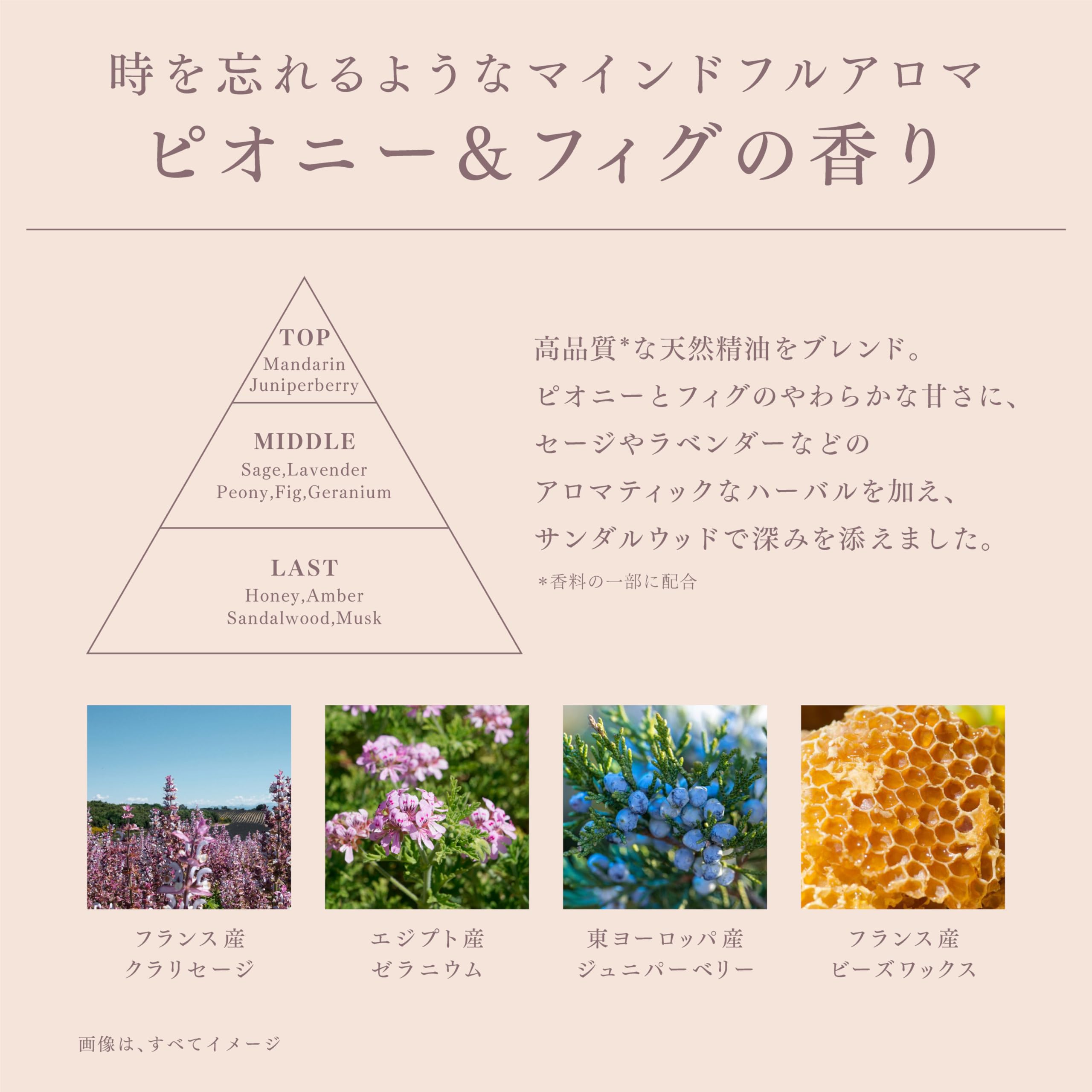 melt メルト スムースポンプペア+クリーミーメルトフォーム付き 960ml+2g ピオニー&フィグの香り melt メルト スムースポンプペア+クリーミーメルトフォーム付き 960ml+2g ピオニー&フィグの香り