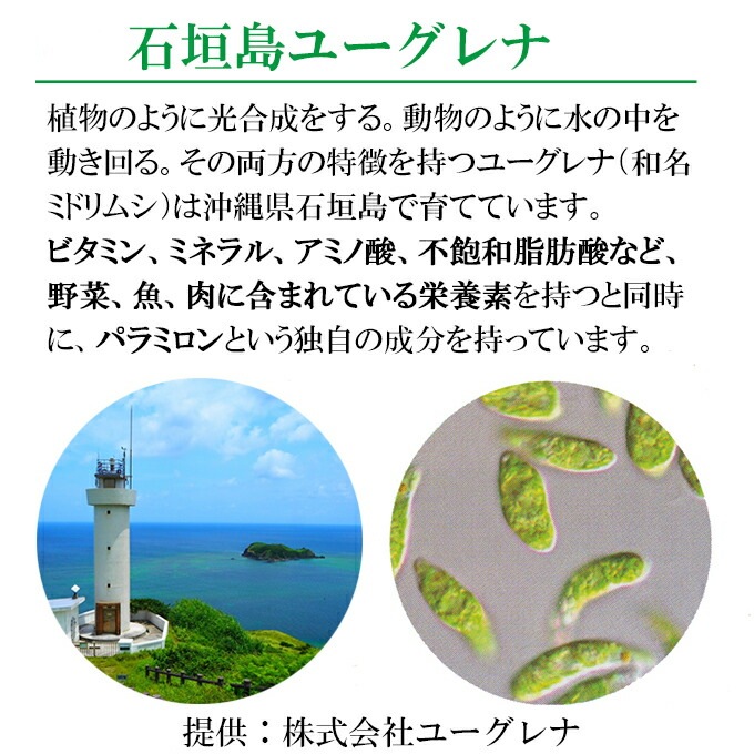 元気の素 ユーグレナ女神 90粒×3袋 約3か月分 妊婦ok 石垣島ユーグレナ使用 特許成分シンデレラ乳酸菌配合 マルチビタミンαリポ酸コエンザイムQ10LPS免疫ビタミンマンゴスチンアクアリポ 元気の素 ユーグレナ女神 90粒×3袋 約3か月分 妊婦ok 石垣島ユーグレナ使用 特許成分シンデレラ乳酸菌配合 マルチビタミンαリポ酸コエンザイムQ10LPS免疫ビタミンマンゴスチンアクアリポ