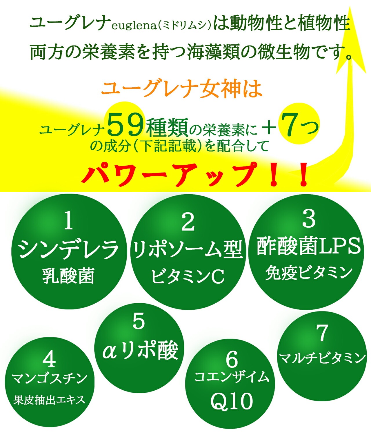 元気の素 ユーグレナ女神 90粒×3袋 約3か月分 妊婦ok 石垣島ユーグレナ使用 特許成分シンデレラ乳酸菌配合 マルチビタミンαリポ酸コエンザイムQ10LPS免疫ビタミンマンゴスチンアクアリポ 元気の素 ユーグレナ女神 90粒×3袋 約3か月分 妊婦ok 石垣島ユーグレナ使用 特許成分シンデレラ乳酸菌配合 マルチビタミンαリポ酸コエンザイムQ10LPS免疫ビタミンマンゴスチンアクアリポ