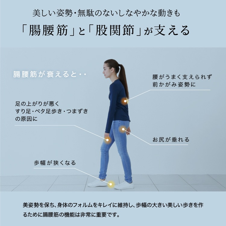 【メーカー正規品】 スパッツ 股関節 サポート お腹 ヒップ ウエスト 腸腰筋 股関節 ぽっこりお腹 ヒップアップ ブラック ベージュ 美姿勢 楽 サポートスパッツ フィギュアスケート