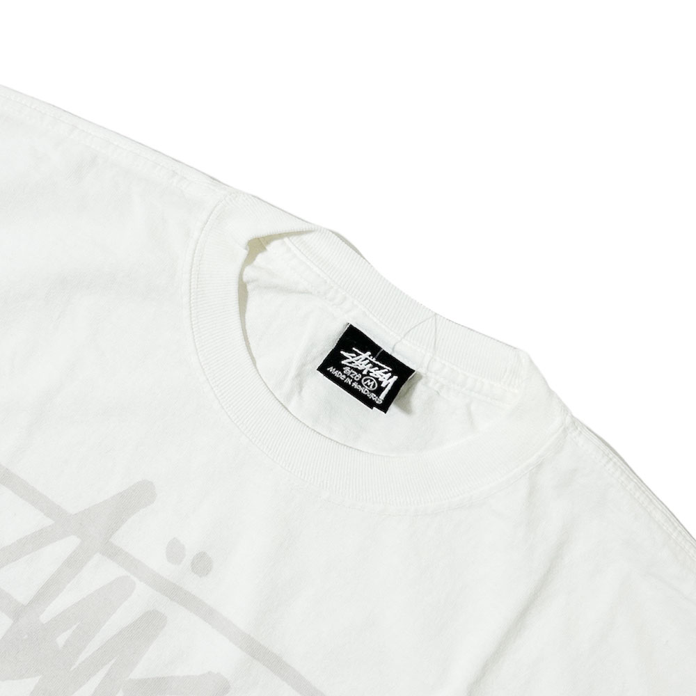 ステューシー STUSSY BEACH ROOTS PIG.DYED TEE ピグメント ダイ 200-009430-040