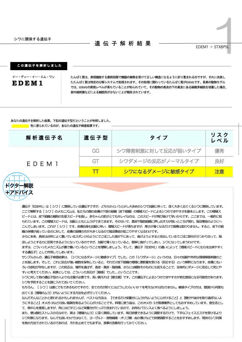 期間限定お試し価格】 肌の老化リスク遺伝子検査(未開封) 肌の老化