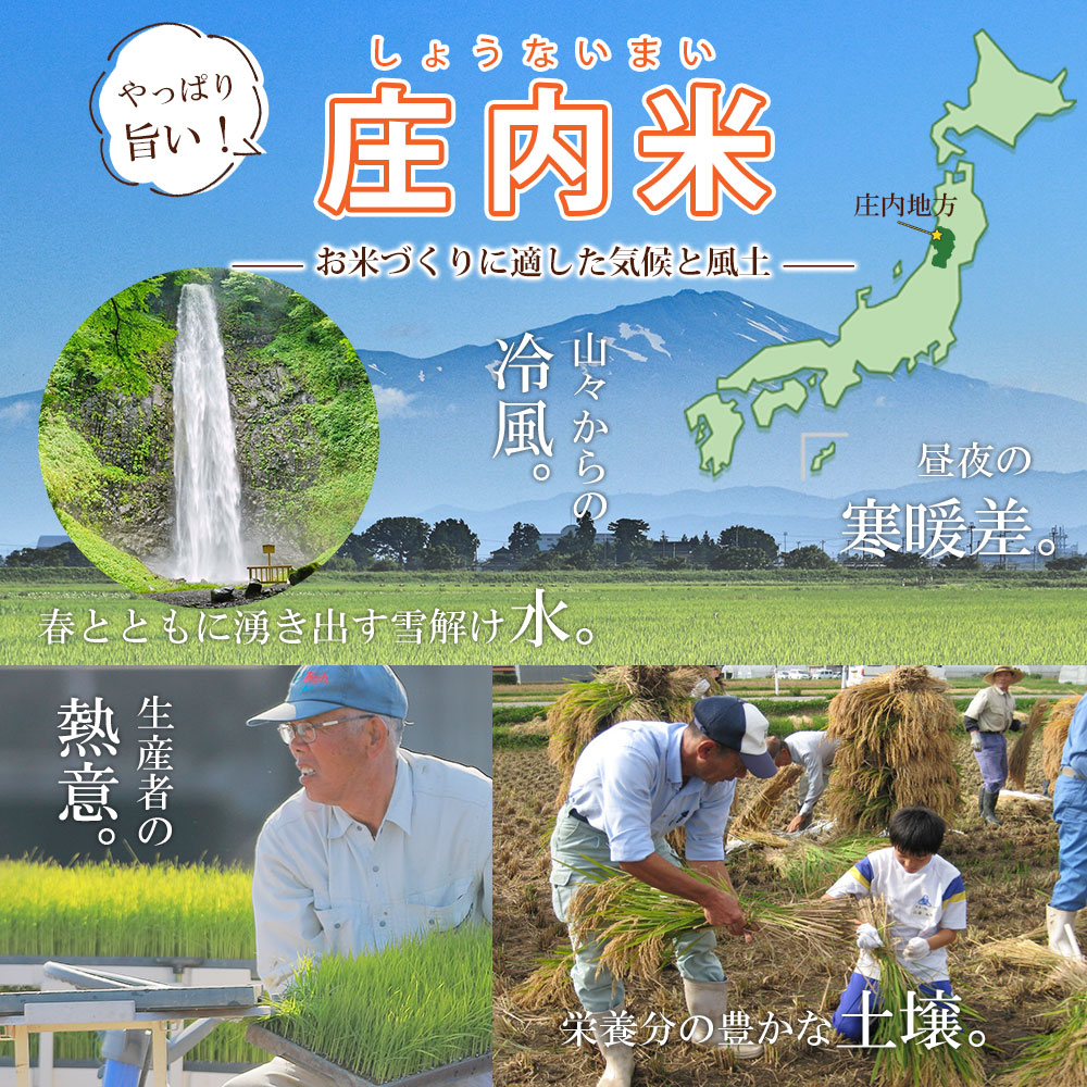 山形県産 30kg : 米・雑穀 つや姫 特別栽培米 最新作得価