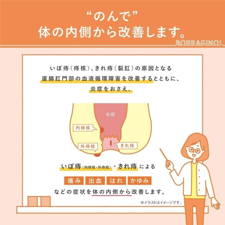 第2類医薬品 3個セット 内服 ボラギノールEP 16包 痔核