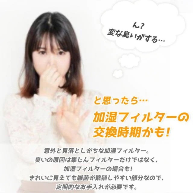 ダイキン KAFP044A4 空気清浄機 集塵フィルター 2140795 脱臭フィルター ダイキン加湿空気清浄機 KNME017C4 3枚セット ダイキン KAFP044A4 空気清浄機 集塵フィルター 2140795 脱臭フィルター ダイキン加湿空気清浄機 KNME017C4 3枚セット