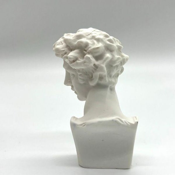 Qoo10] 石膏像 ジュリアーノメディチ置物 顔 ギ