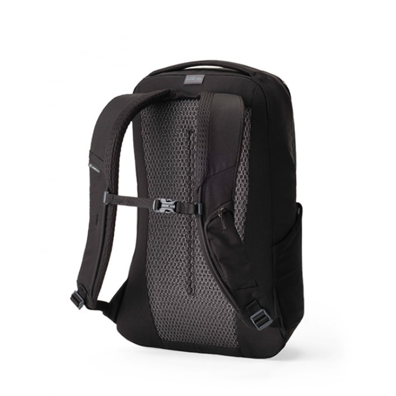 (グレゴリー) グレゴリールーン 20 バックパック-テクノグラナイト