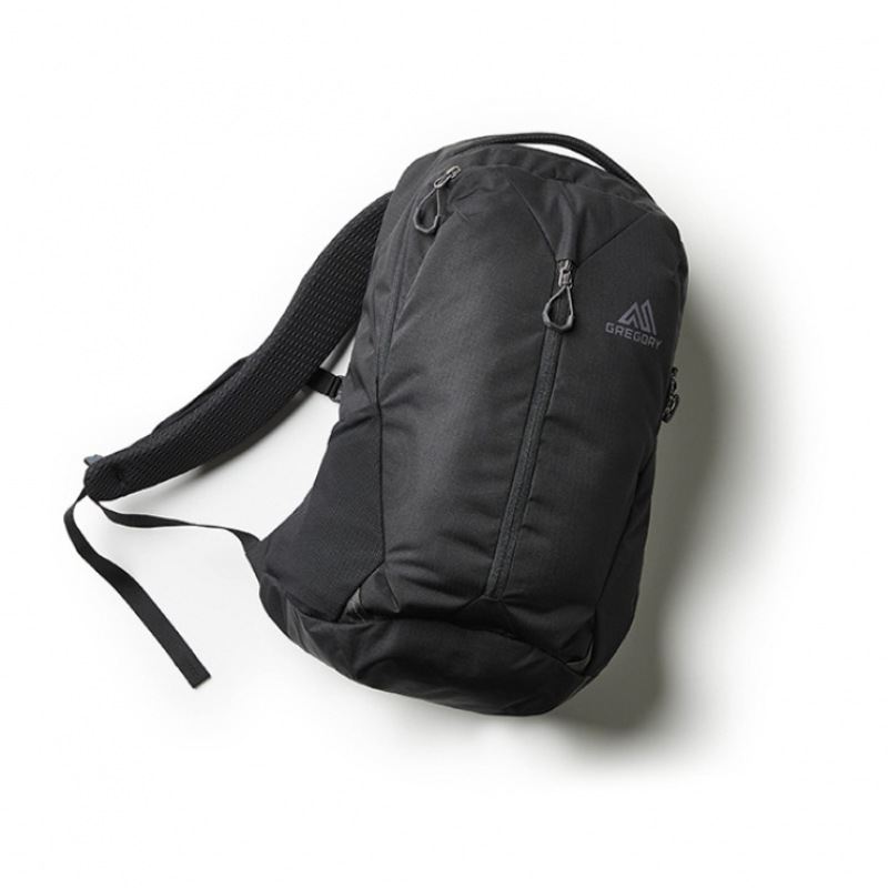 (グレゴリー) グレゴリールーン 20 バックパック-テクノグラナイト
