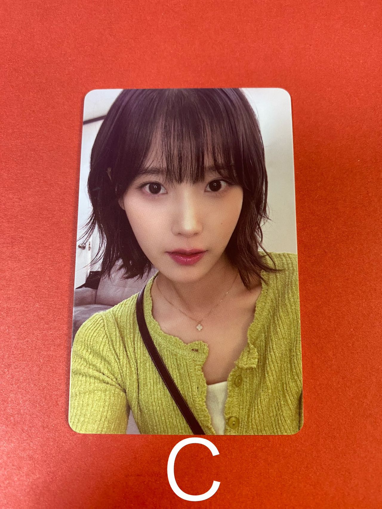 IU アイユ 15周年 ペンコン トレカ UAENA 2023 FAN CONCERT I+UN1VER5E イジウン ユエナキット アイユー 非公開 IU アイユ 15周年 ペンコン トレカ UAENA 2023 FAN CONCERT I+UN1VER5E イジウン ユエナキット アイユー 非公開