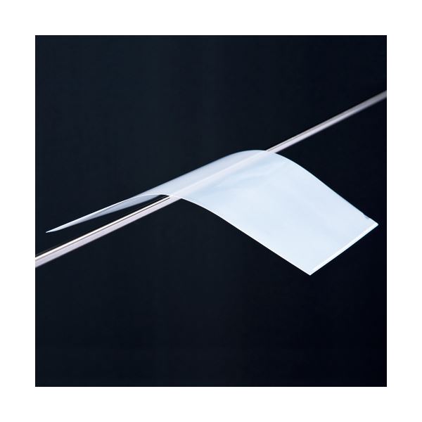 TANOSEEカラークリアホルダー(アソートタイプ) A4 5色 1セット(500枚:各色100枚)