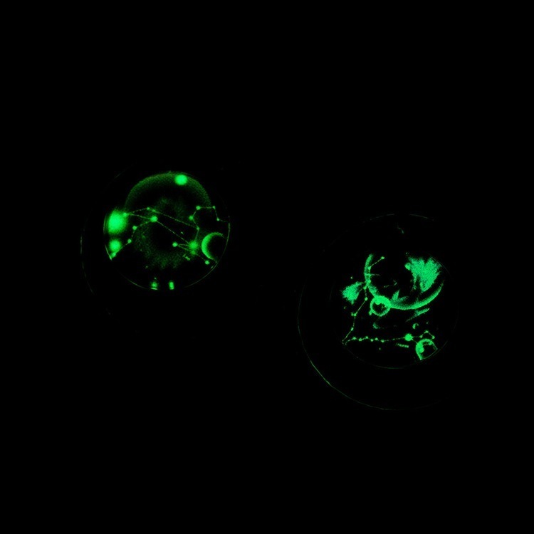 団体購入8件星座ネックレス メンズ レディース 男女兼用 おしゃれ 高級感 プレゼント 星 韓国風 ファッション 金属アレルギー対応