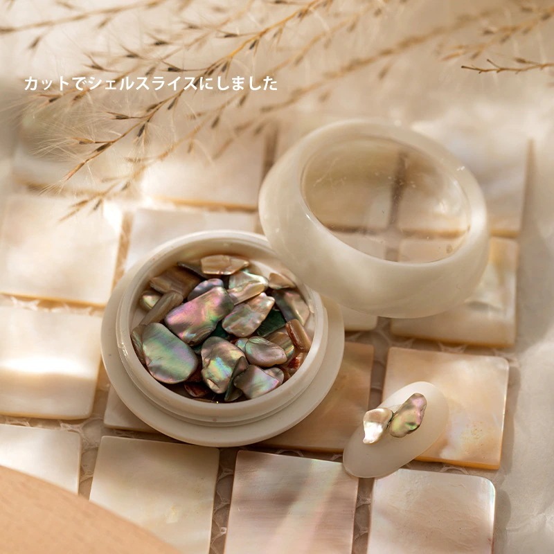 【10点セット】30種ケース入り 大人気なシェルの輝き 天然の貝殻 天然のお色になりますが 自在アート に埋め込みKネイル パーツ シェル 貝 天然貝 貝殻 天然 ジェル ネイル