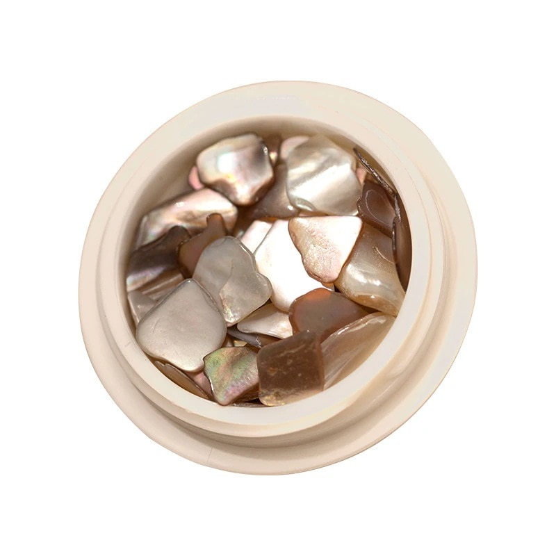 【10点セット】30種ケース入り 大人気なシェルの輝き 天然の貝殻 天然のお色になりますが 自在アート に埋め込みKネイル パーツ シェル 貝 天然貝 貝殻 天然 ジェル ネイル