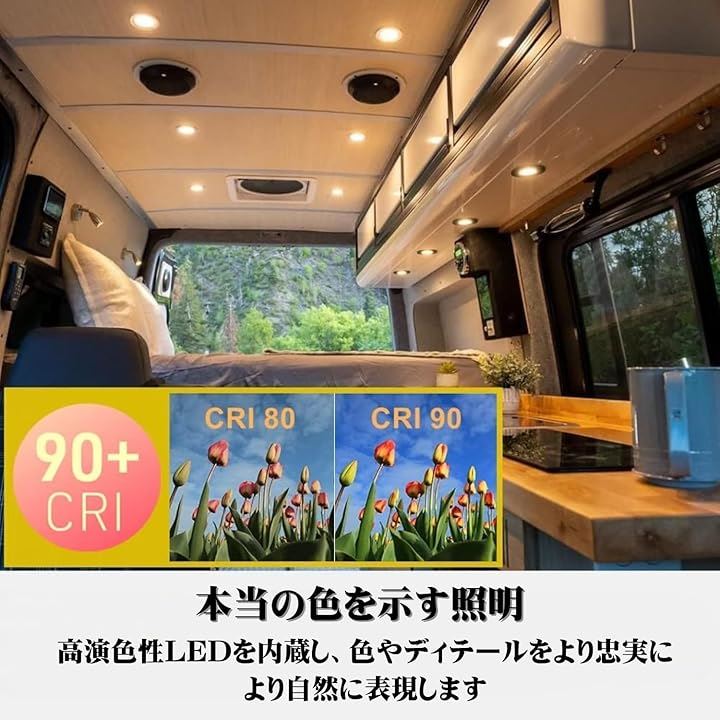acegoo RV ボート 船舶用 キャンピングカー 埋め込み型天井ライト 6個パック スーパースリム LEDパネルライト DC 12V 3W( クールホワイト(シルバー仕上げ)) acegoo RV ボート 船舶用 キャンピングカー 埋め込み型天井ライト 6個パック スーパースリム LEDパネルライト DC 12V 3W( クールホワイト(シルバー仕上げ))