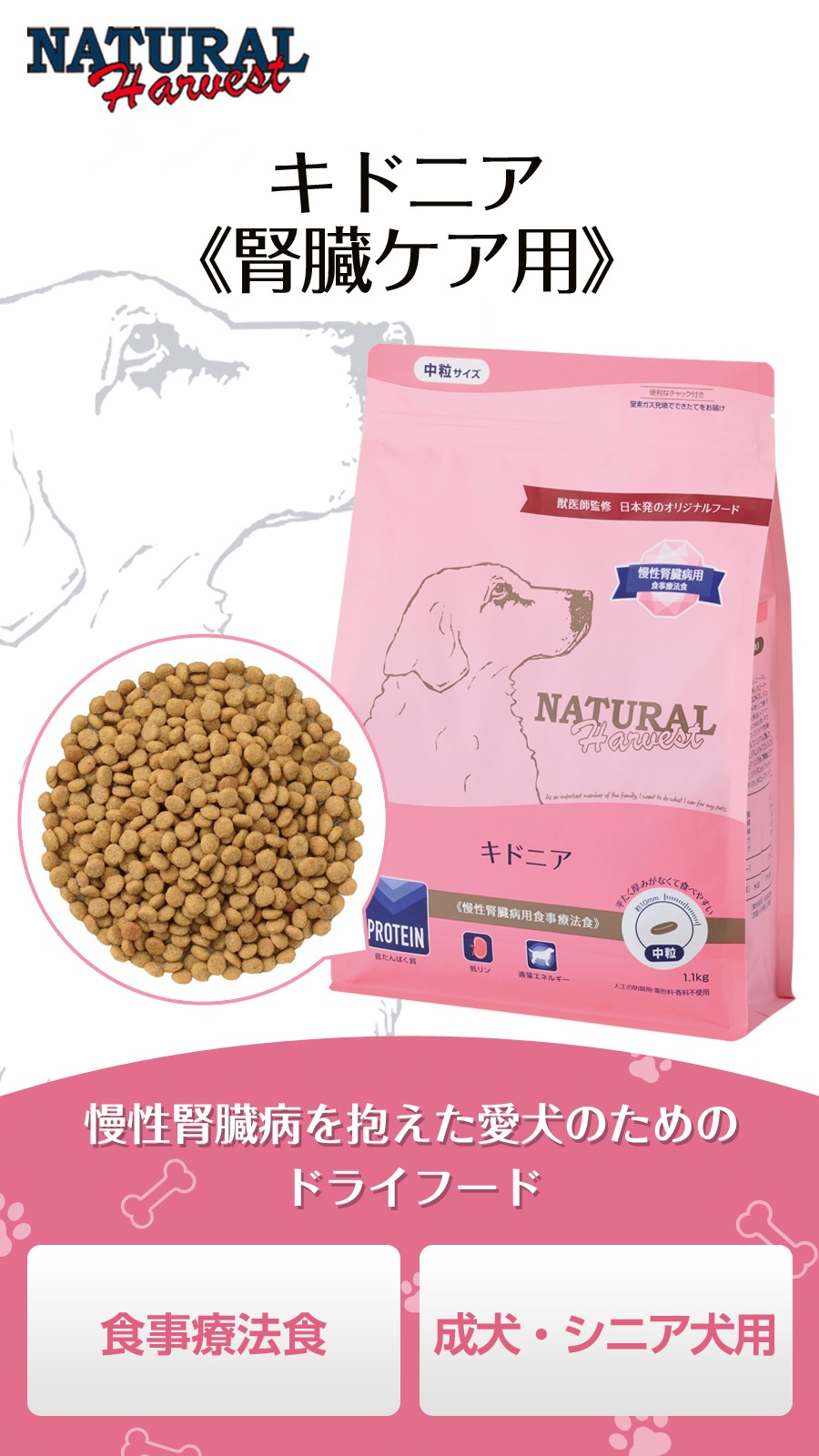 キドニア 1.1kg×2袋【わんわんウエットてぃっしゅ1個付き】 キドニア 1.1kg×2袋【わんわんウエットてぃっしゅ1個付き】
