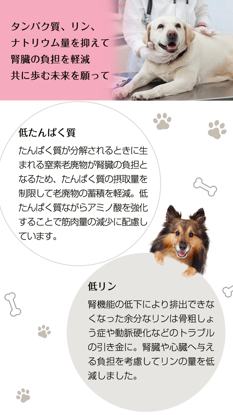 キドニア 1.1kg×2袋【わんわんウエットてぃっしゅ1個付き】 キドニア 1.1kg×2袋【わんわんウエットてぃっしゅ1個付き】