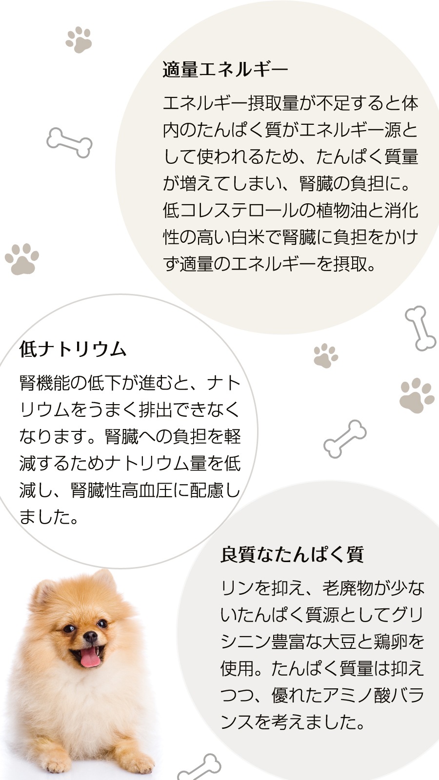 キドニア 1.1kg×2袋【わんわんウエットてぃっしゅ1個付き】 キドニア 1.1kg×2袋【わんわんウエットてぃっしゅ1個付き】