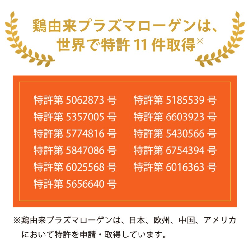 プラズマローゲンDX 62粒入り 6箱セット(6ヶ月分) プラズマローゲンDX 62粒入り 6箱セット(6ヶ月分)