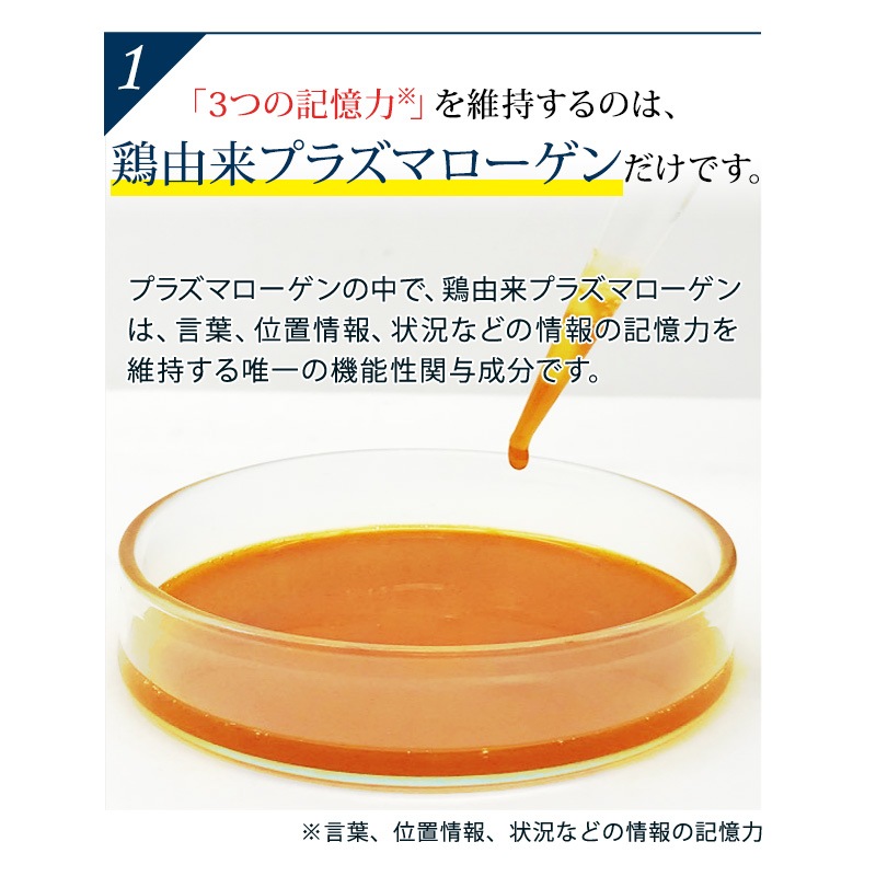 プラズマローゲンDX 62粒入り 6箱セット(6ヶ月分) プラズマローゲンDX 62粒入り 6箱セット(6ヶ月分)