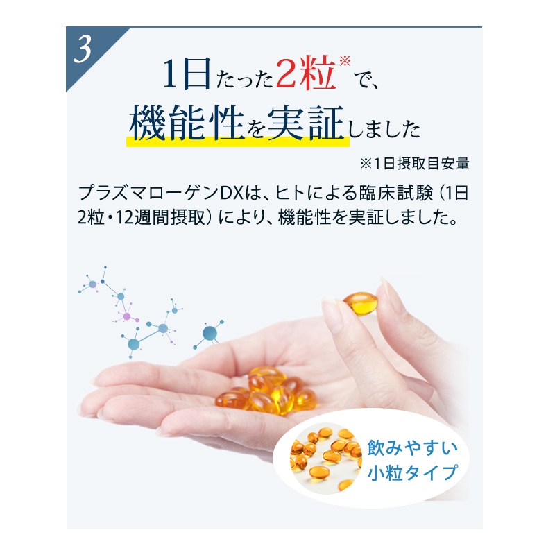 プラズマローゲンDX 62粒入り 6箱セット(6ヶ月分) プラズマローゲンDX 62粒入り 6箱セット(6ヶ月分)