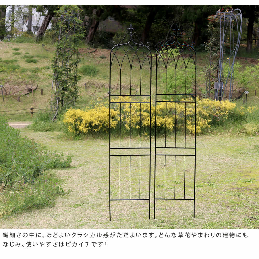 アイアン製フェンス ハイタイプ 2枚セット 1枚あたり幅40cm ガーデニング 園芸 高耐久