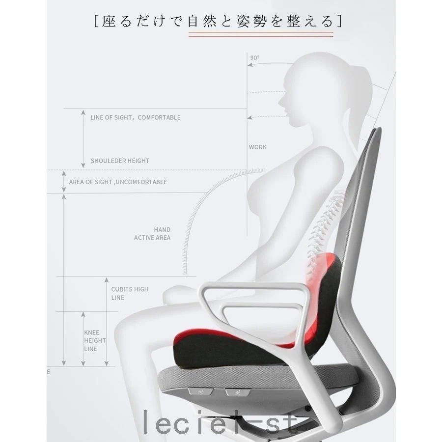 腰痛 クッション オフィス おすすめ デスクワーク 姿勢 矯正 グッズ 猫背矯正 骨盤 腰痛対策 骨