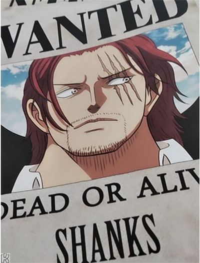 ワンピースポスターセット Full Set) ONE PIECE - Poster (全12種セット 「ワンピース 手配