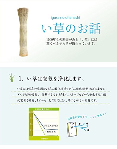 イケヒコ い草 ラグ : 家具・インテリア : イケヒコ 日本製 新作人気