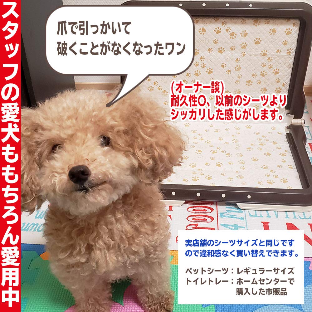 フリーリー ペットシーツ 薄型 スーパーワイド 200枚 柄付き