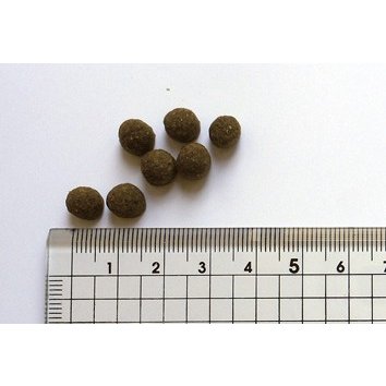 ブラックウッド パピー 2.7kg【犬想いオリジナル今治ハンドタオルプレゼント】【タオルカラー ホワイト】 ブラックウッド パピー 2.7kg【犬想いオリジナル今治ハンドタオルプレゼント】【タオルカラー ホワイト】