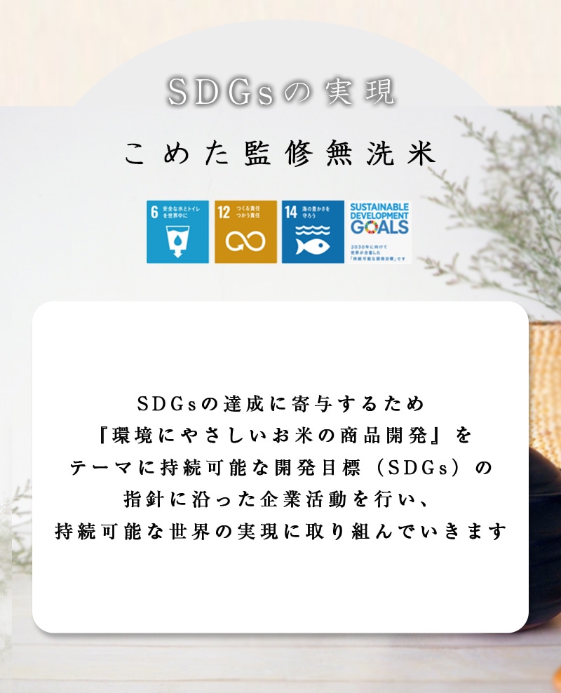 令和6年 岡山県産 きぬむすめ にこまる 無洗米 特A 10kg (5kg2個) 食べ比べセット お一人様1点限り