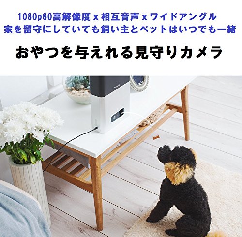 在庫正規品 Petcube(ペットキューブ)[正規代... : ペット お得正規品