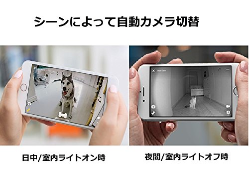 在庫正規品 Petcube(ペットキューブ)[正規代... : ペット お得正規品