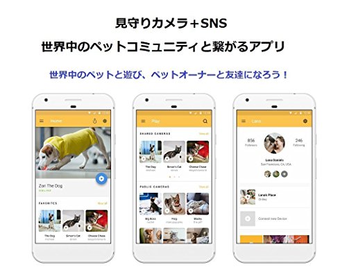 在庫正規品 Petcube(ペットキューブ)[正規代... : ペット お得正規品
