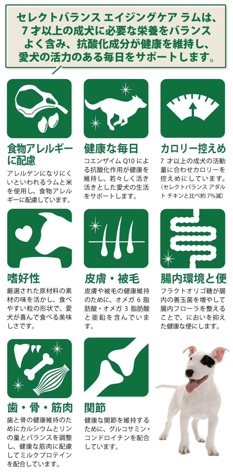 ドッグフード エイジングケア ラム 小粒3kg【国産たじま鶏ジャーキー(小サイズ)付き】