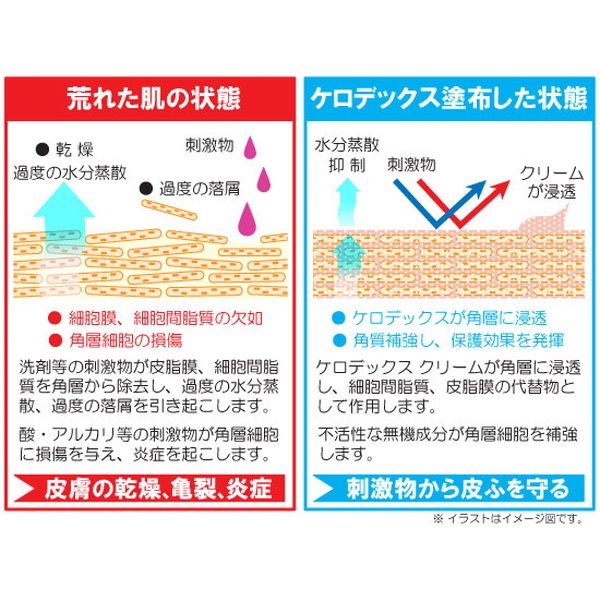 薬用皮膚保護クリーム 肌荒れ防止 業務用 プロ用 ケロデックスクリーム ジャータイプ 500g