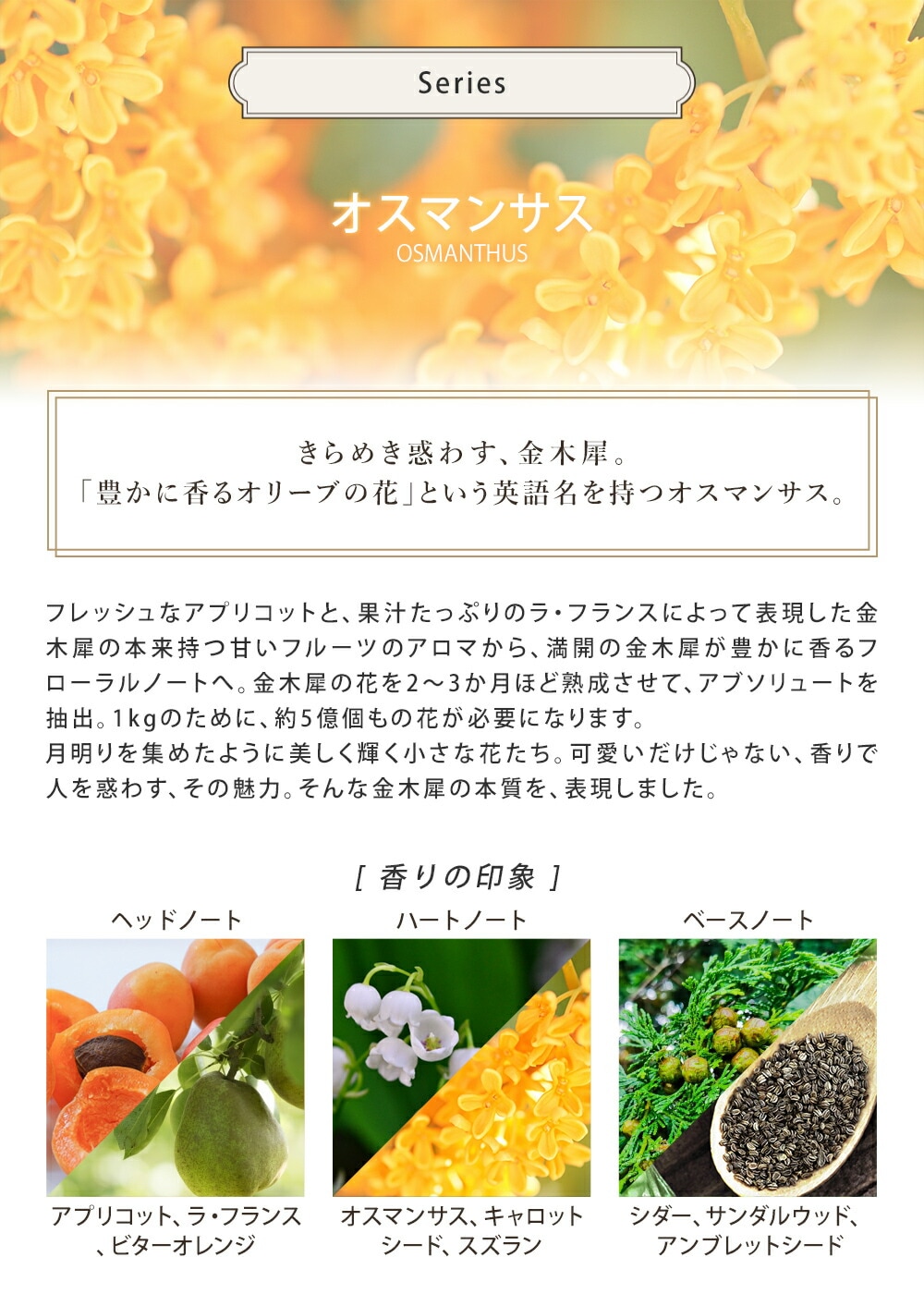 ボディミルク ボディ用乳液 250ml オスマンサス 金木犀 ボディケア ギフト 男性 女性 男女兼用 誕生日 20代 30代 40代 50代 プレゼント