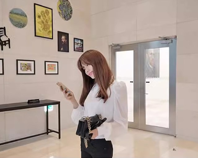 ２点で13o円OFF！【即納】ボトルネックデザインシャツ レディース カットソー 長袖 トップス 襟風デザイン 大きいサイズ 春 夏 秋 薄手 ふんわりシルエット ライン綺麗 フロント スリーブ OL