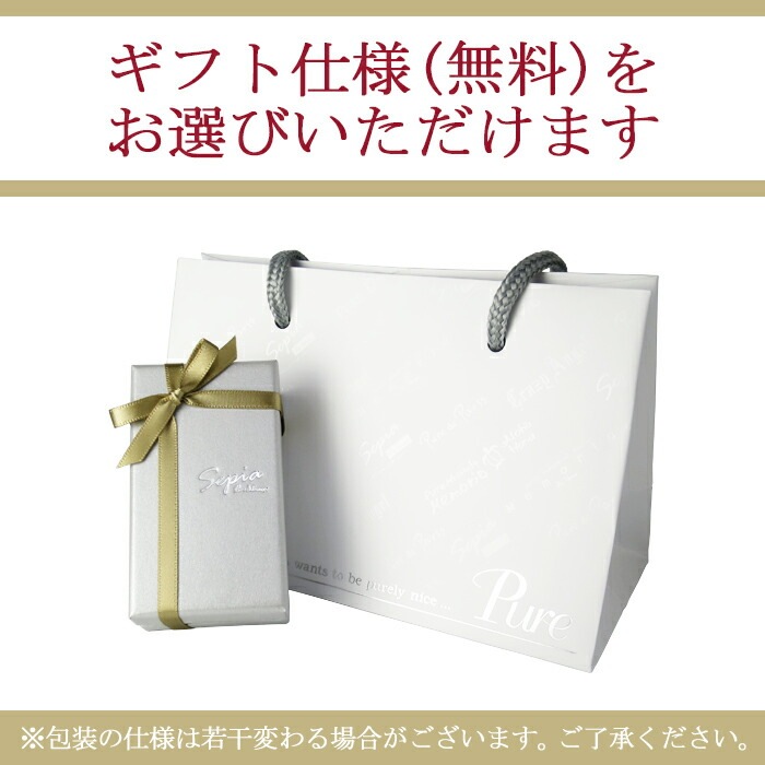 Sepia 馬蹄 シンプル ハワイアン ダイヤモンド サージカルステンレス ネックレス メンズ