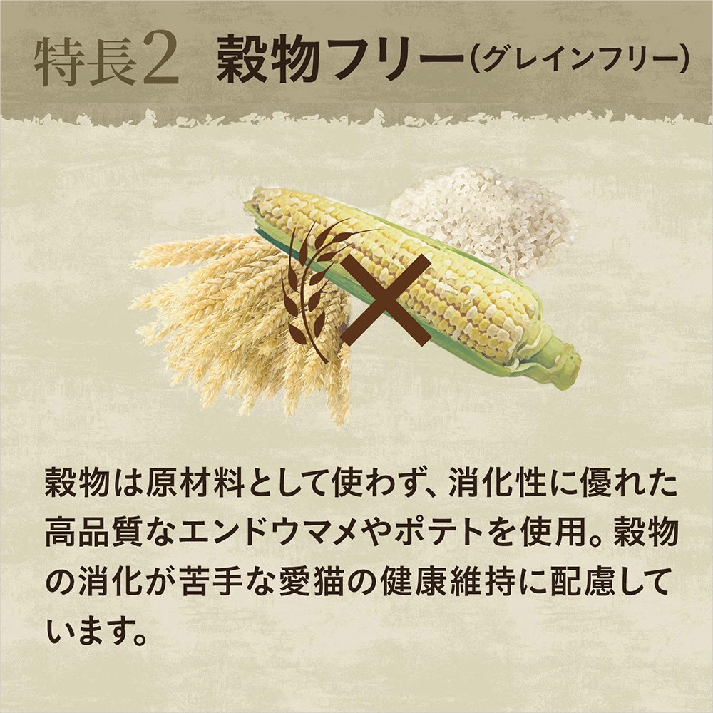 ニュートロ　猫　キャット　ワイルド　レシピ　エイジングケア　チキン　シニア猫用　２ｋｇX８袋　お一人様１点限り　ＣＲＣ35―12―32―20―00