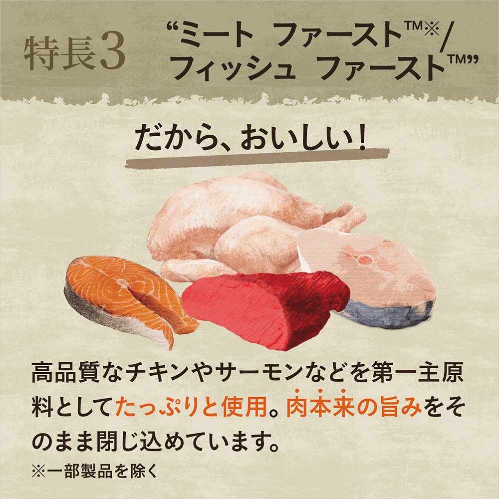 ニュートロ　猫　キャット　ワイルド　レシピ　エイジングケア　チキン　シニア猫用　２ｋｇX８袋　お一人様１点限り　ＣＲＣ35―12―32―20―00