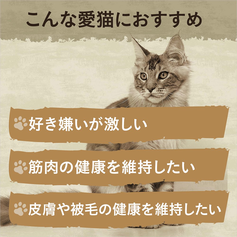 ニュートロ　猫　キャット　ワイルド　レシピ　エイジングケア　チキン　シニア猫用　２ｋｇX８袋　お一人様１点限り　ＣＲＣ35―12―32―20―00