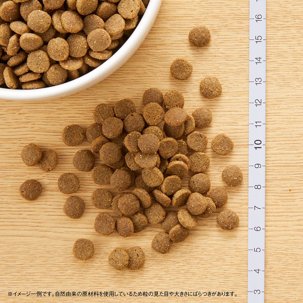 ニュートロ　猫　キャット　ワイルド　レシピ　エイジングケア　チキン　シニア猫用　２ｋｇX８袋　お一人様１点限り　ＣＲＣ35―12―32―20―00