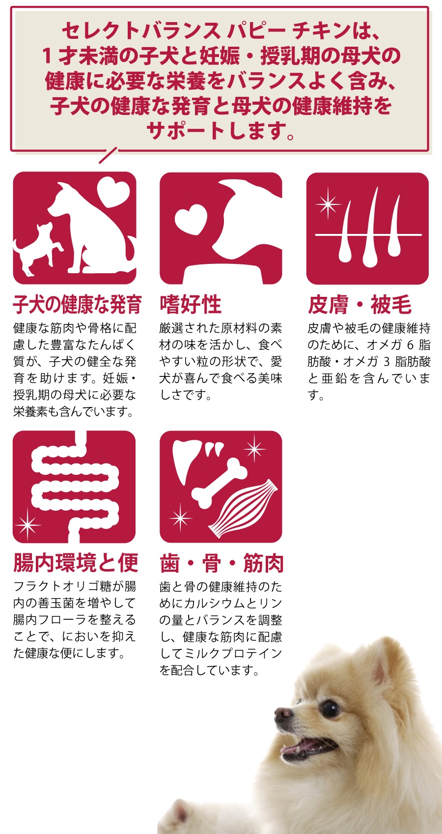 ドッグフード パピー チキン 小粒 3kg【国産たじま鶏ジャーキー(小サイズ)付き】 ドッグフード パピー チキン 小粒 3kg【国産たじま鶏ジャーキー(小サイズ)付き】